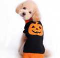 Halloween Pumpkin & Spooky Dog Sweater 🎃🐾