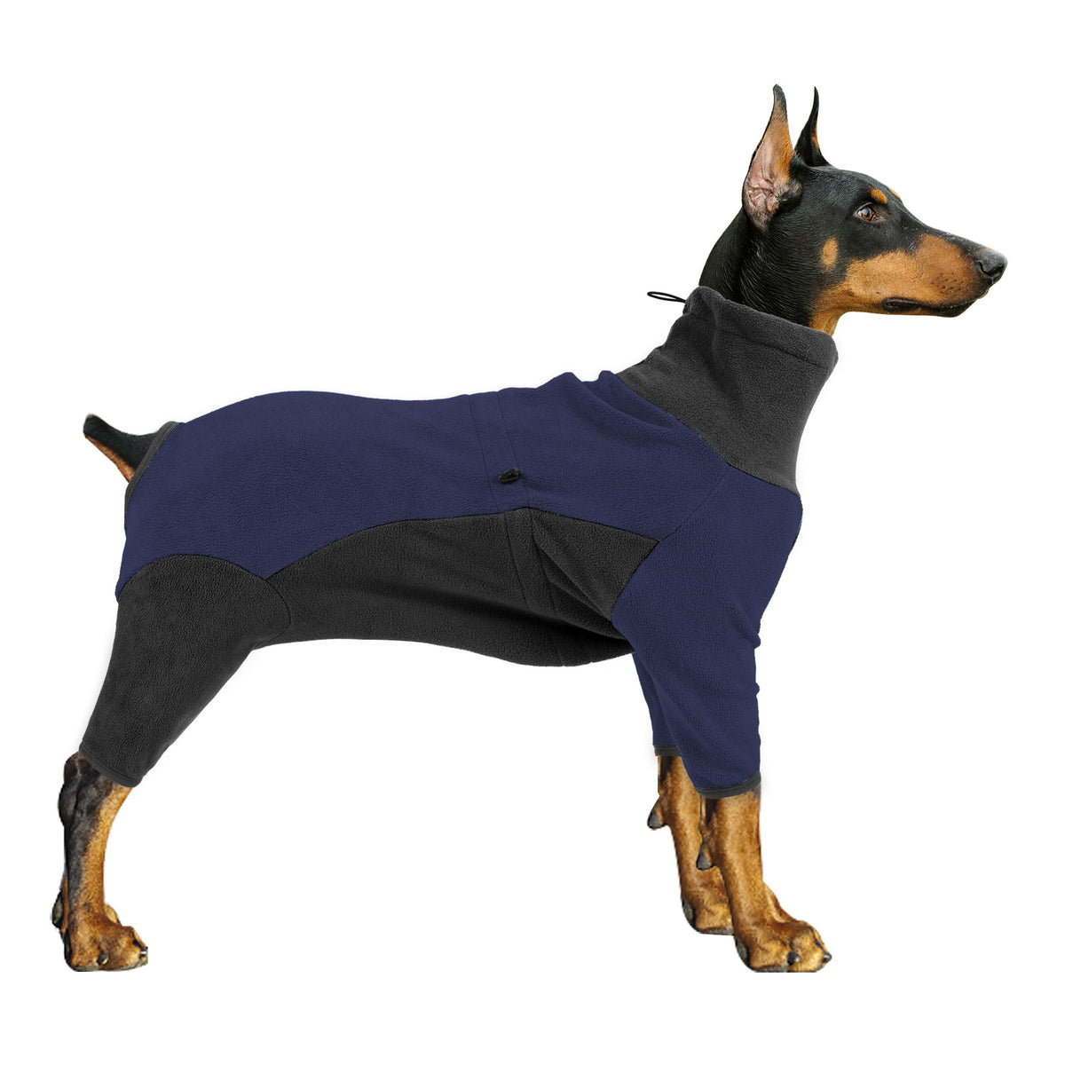 Cozy Fleece Dog Outfit