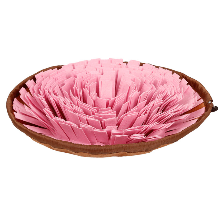 Dog Snuffle Mat & Slow Feed Bowl