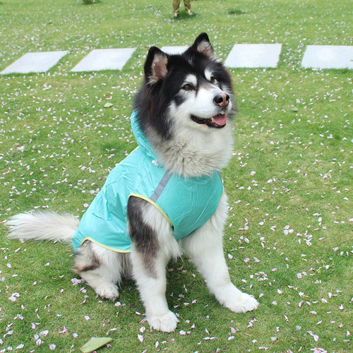 Rainy Day Ready Coat