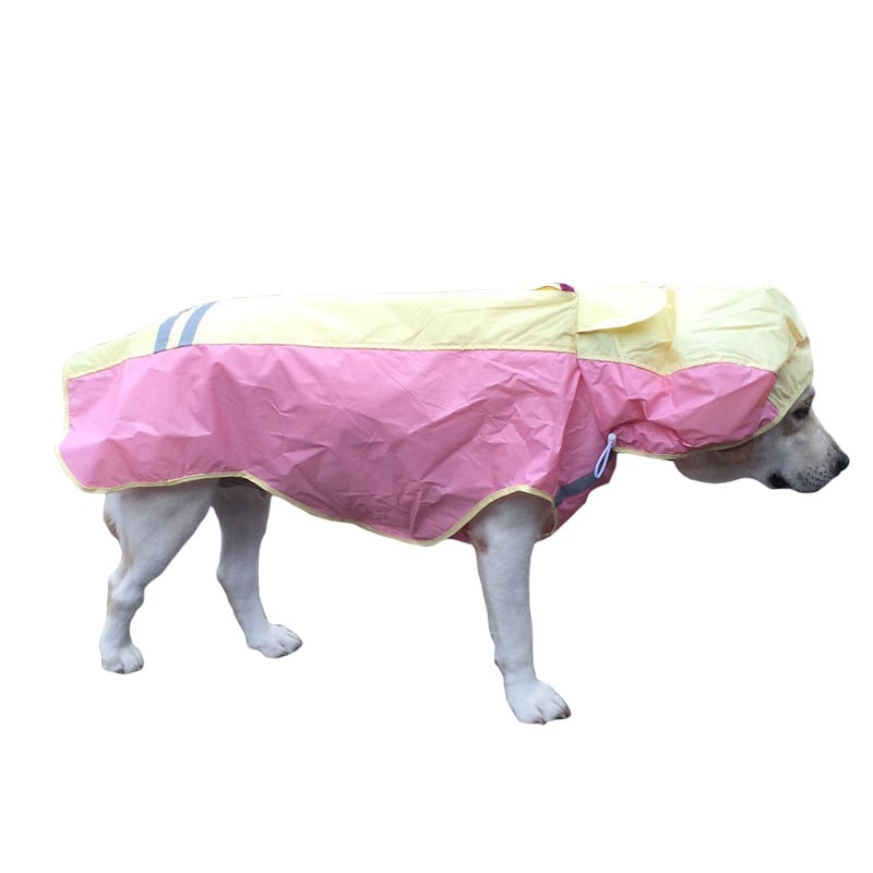 Rainy Day Ready Coat