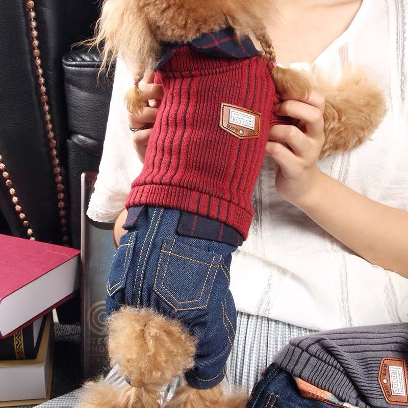 Cozy Four-Legged Dog Outfit