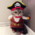 Teddy Pirate Pet Costume 🏴‍☠️🐾