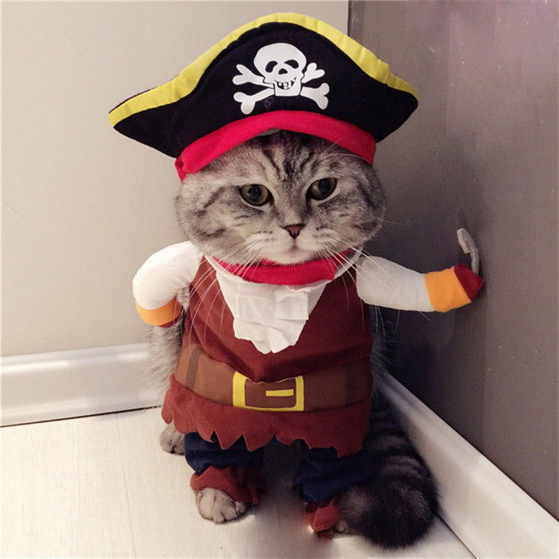Teddy Pirate Pet Costume 🏴‍☠️🐾