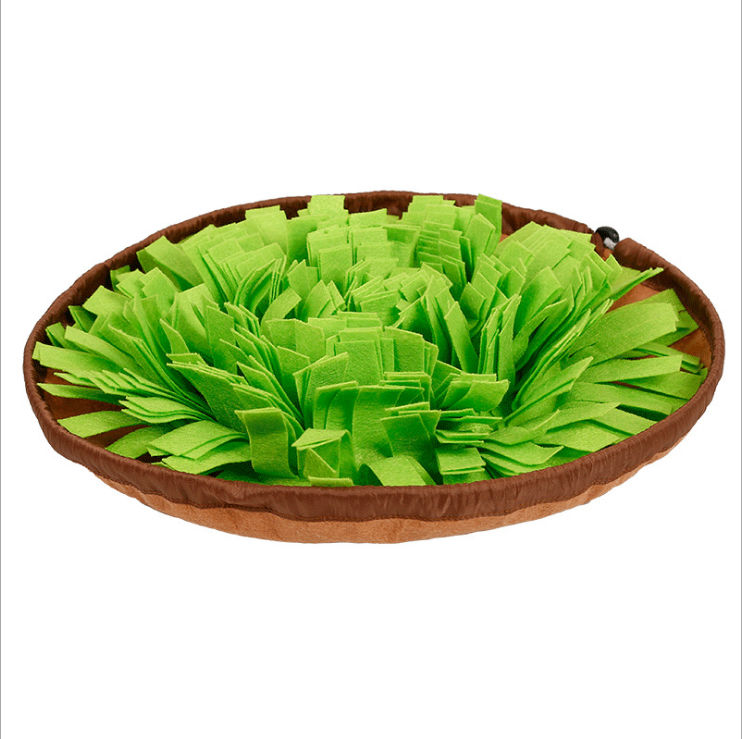 Dog Snuffle Mat & Slow Feed Bowl