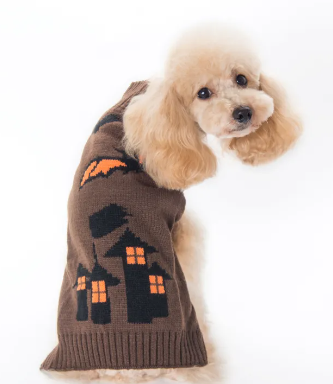 Halloween Pumpkin & Spooky Dog Sweater 🎃🐾