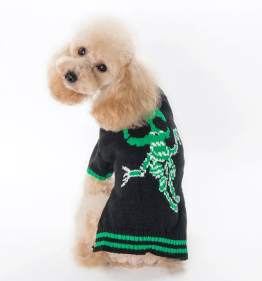Halloween Pumpkin & Spooky Dog Sweater 🎃🐾