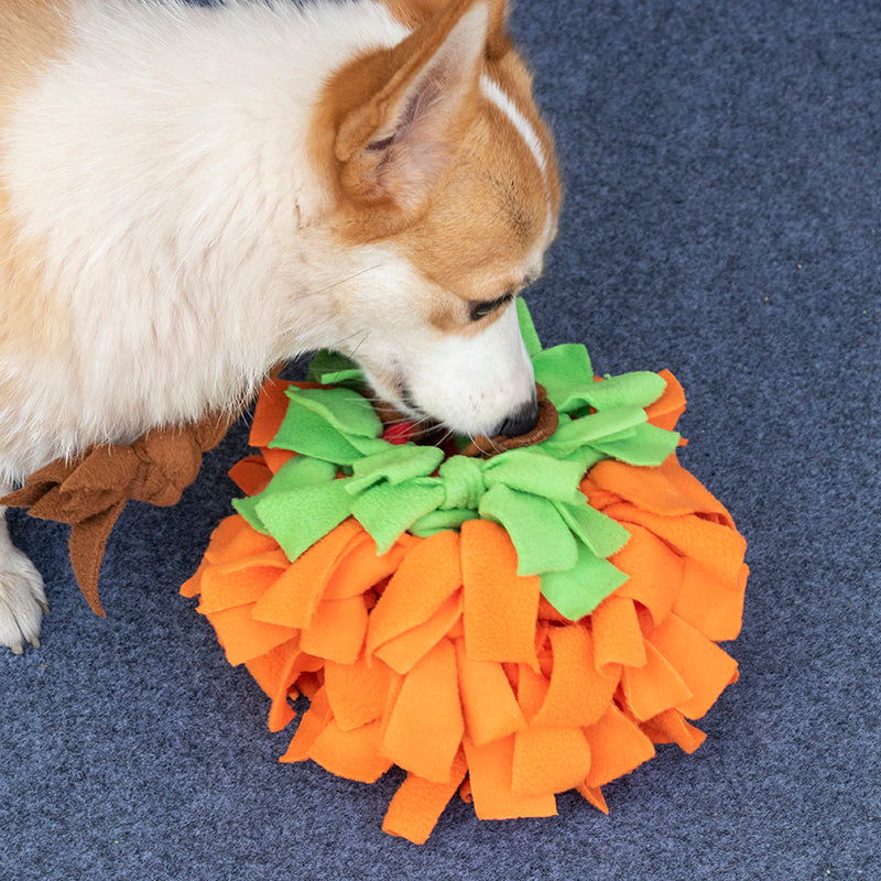 Pumpkin Snuffle Ball – Interactive Dog Enrichment Toy 🎃🐾