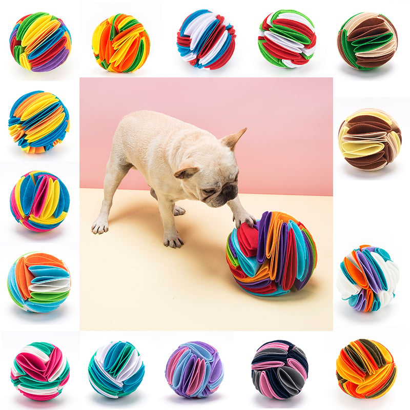 Snuffle & Seek Enrichment Ball