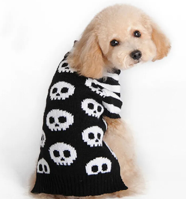 Halloween Pumpkin & Spooky Dog Sweater 🎃🐾