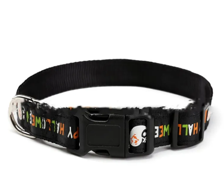 Halloween Dog Collar – Spooky Styles 🦇🎃