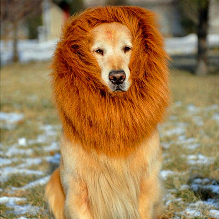 Lion Mane Dog Wig Costume 🦁