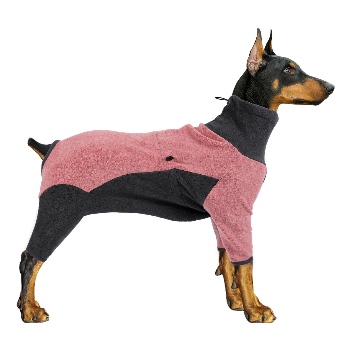 Cozy Fleece Dog Outfit