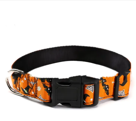 Halloween Dog Collar – Spooky Styles 🦇🎃