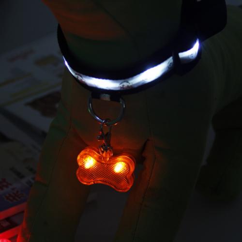 LED Bone Collar Light – Nighttime Dog Tag 💡🦴