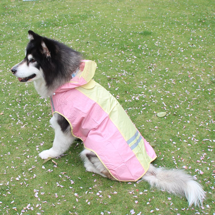 Rainy Day Ready Coat