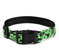 Halloween Dog Collar – Spooky Styles 🦇🎃